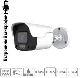 IP камера IPC-040MiCiRP 